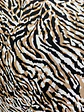 Poliviscosa Animal Print  - Miniatura 4