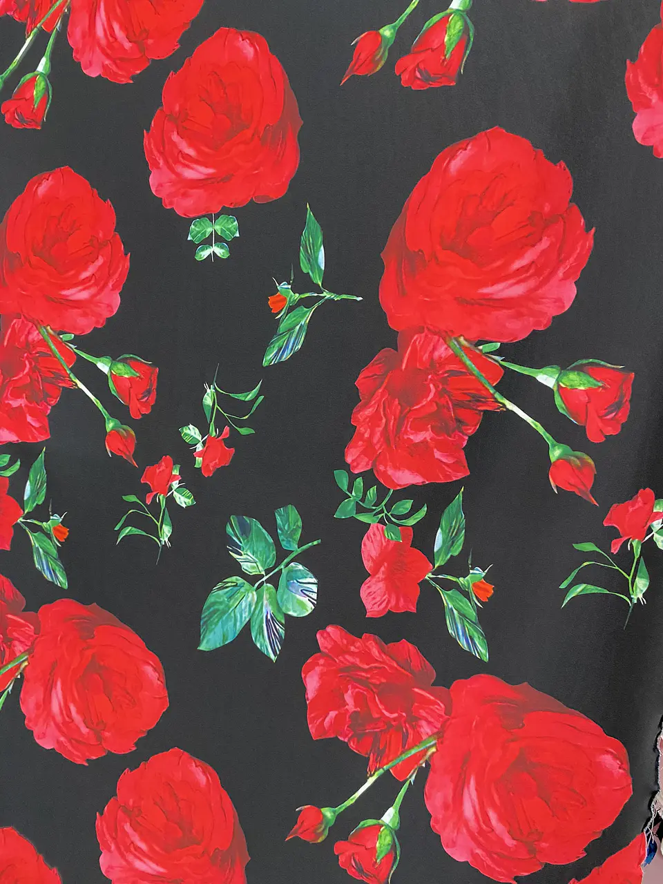 Pandora Estampada  28