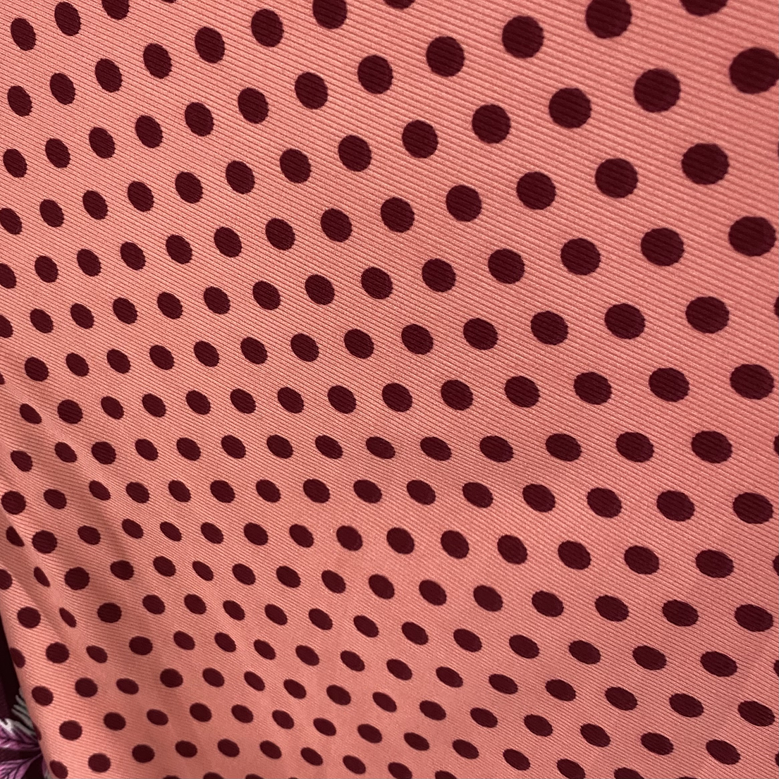 Canuton fino puntos 4