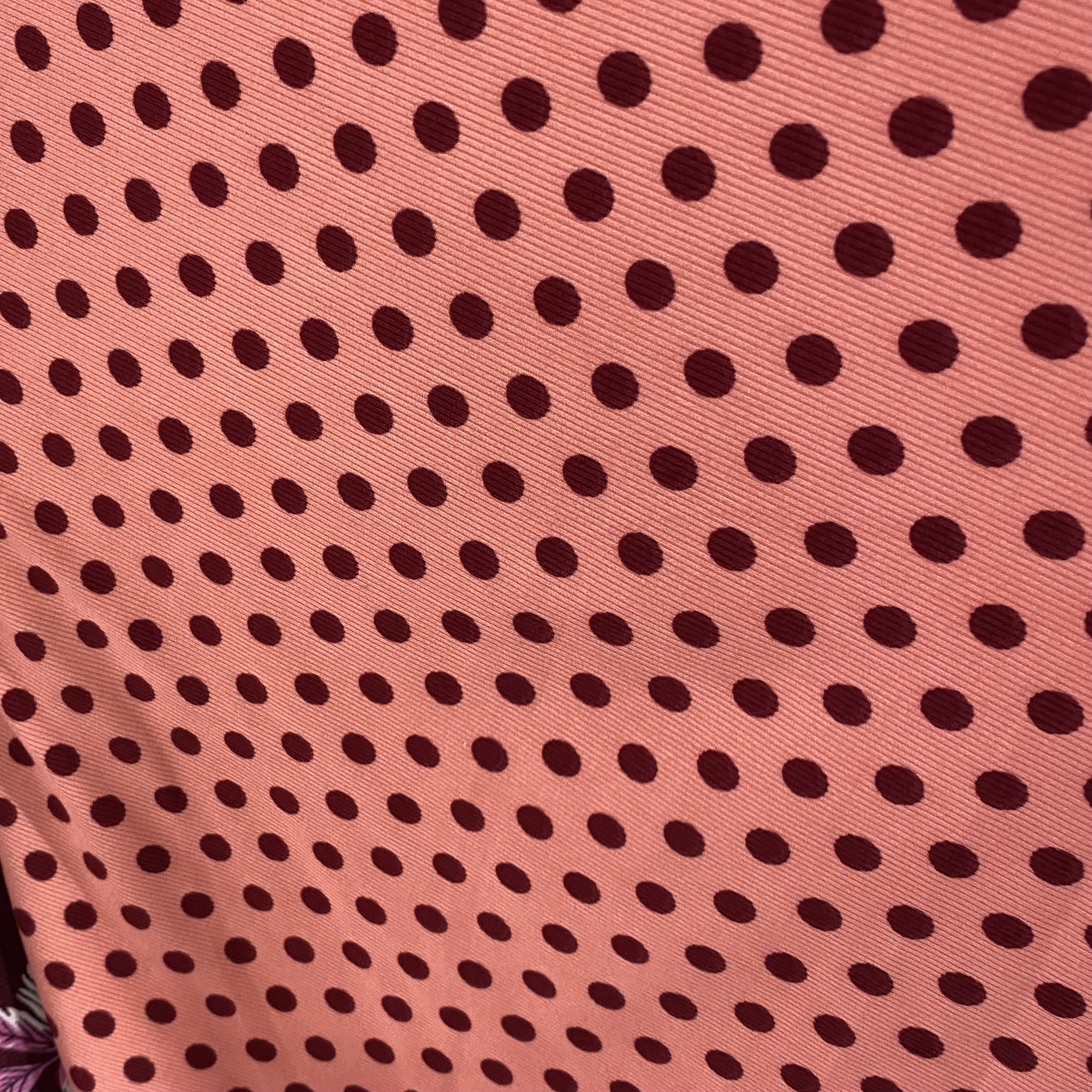 Canuton fino puntos 4