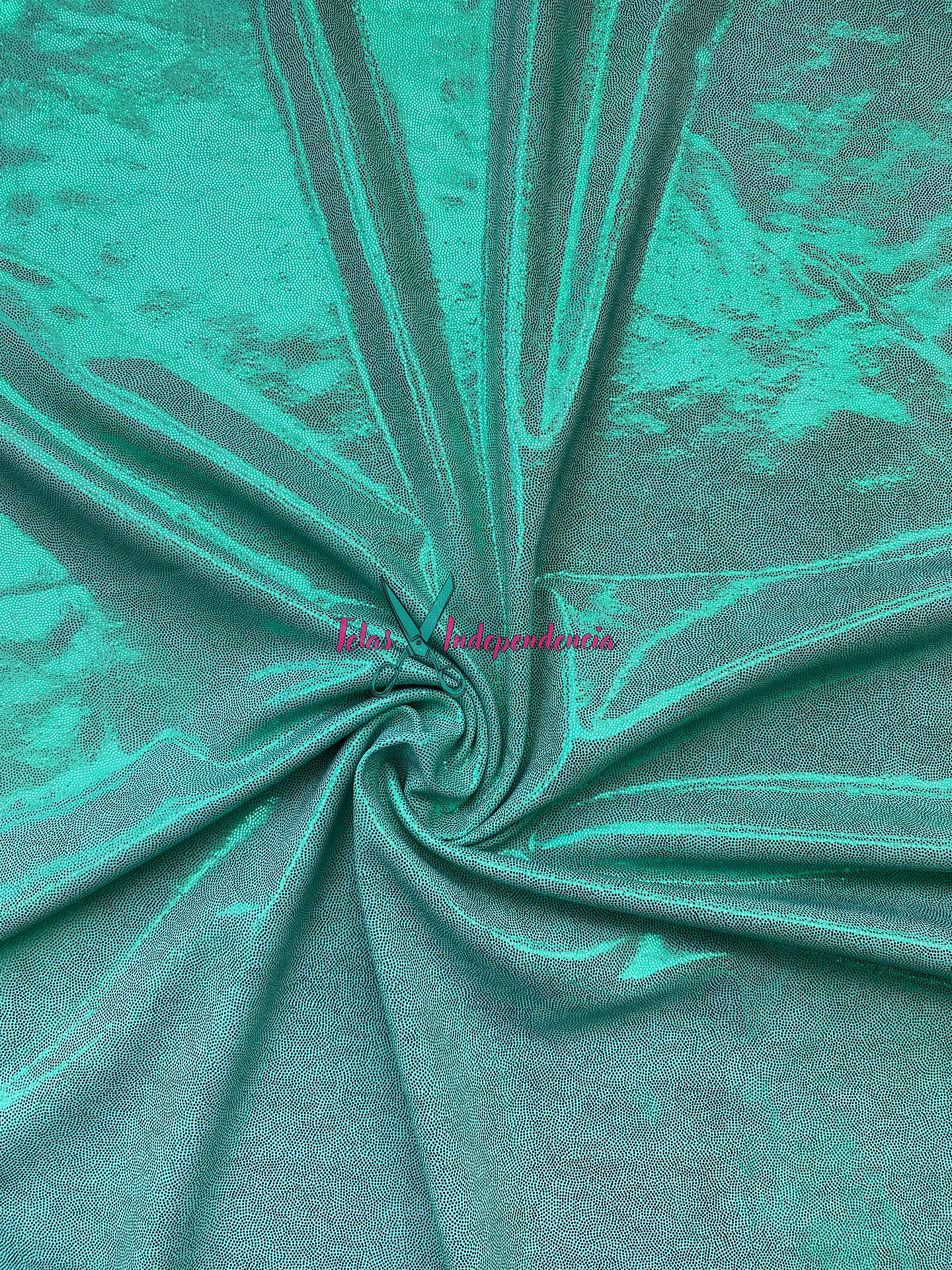 Lycra Dupont Brillo 2