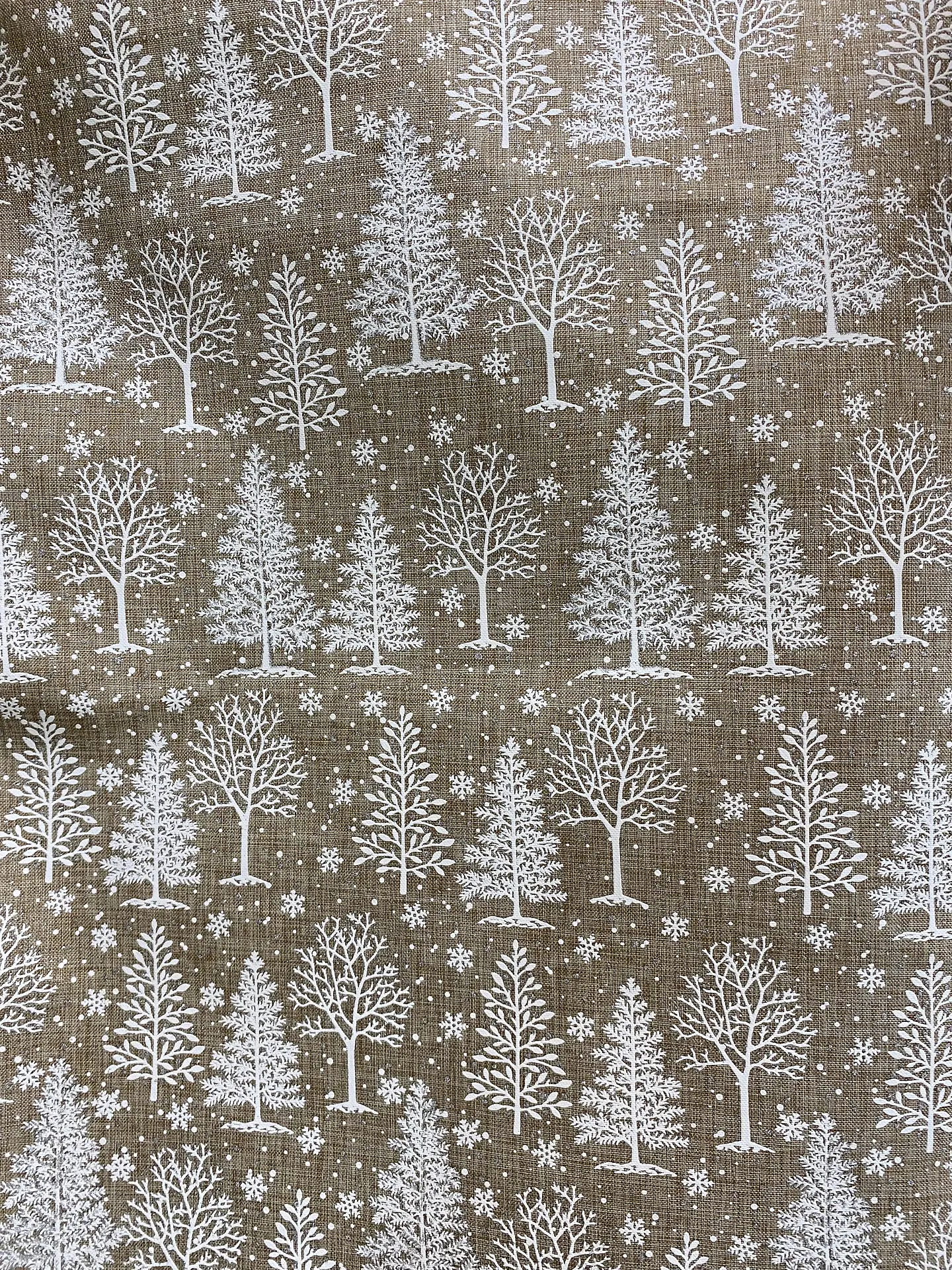 Linette  Navidad  5
