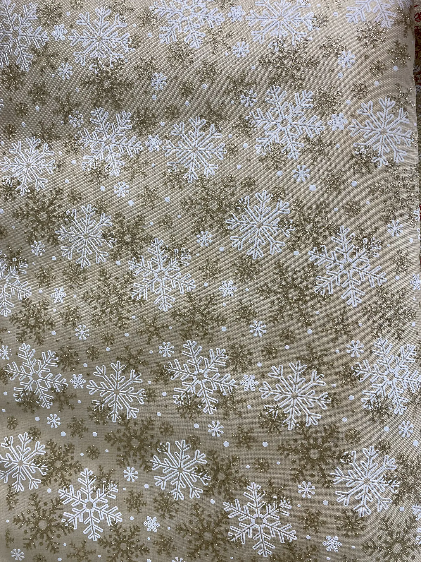 Linette  Navidad  6
