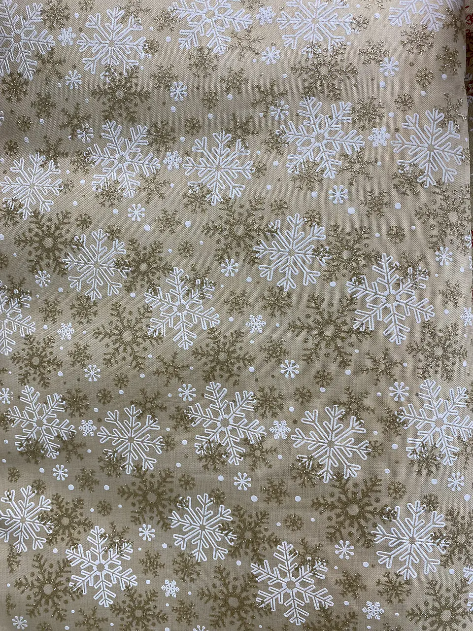 Linette  Navidad  6