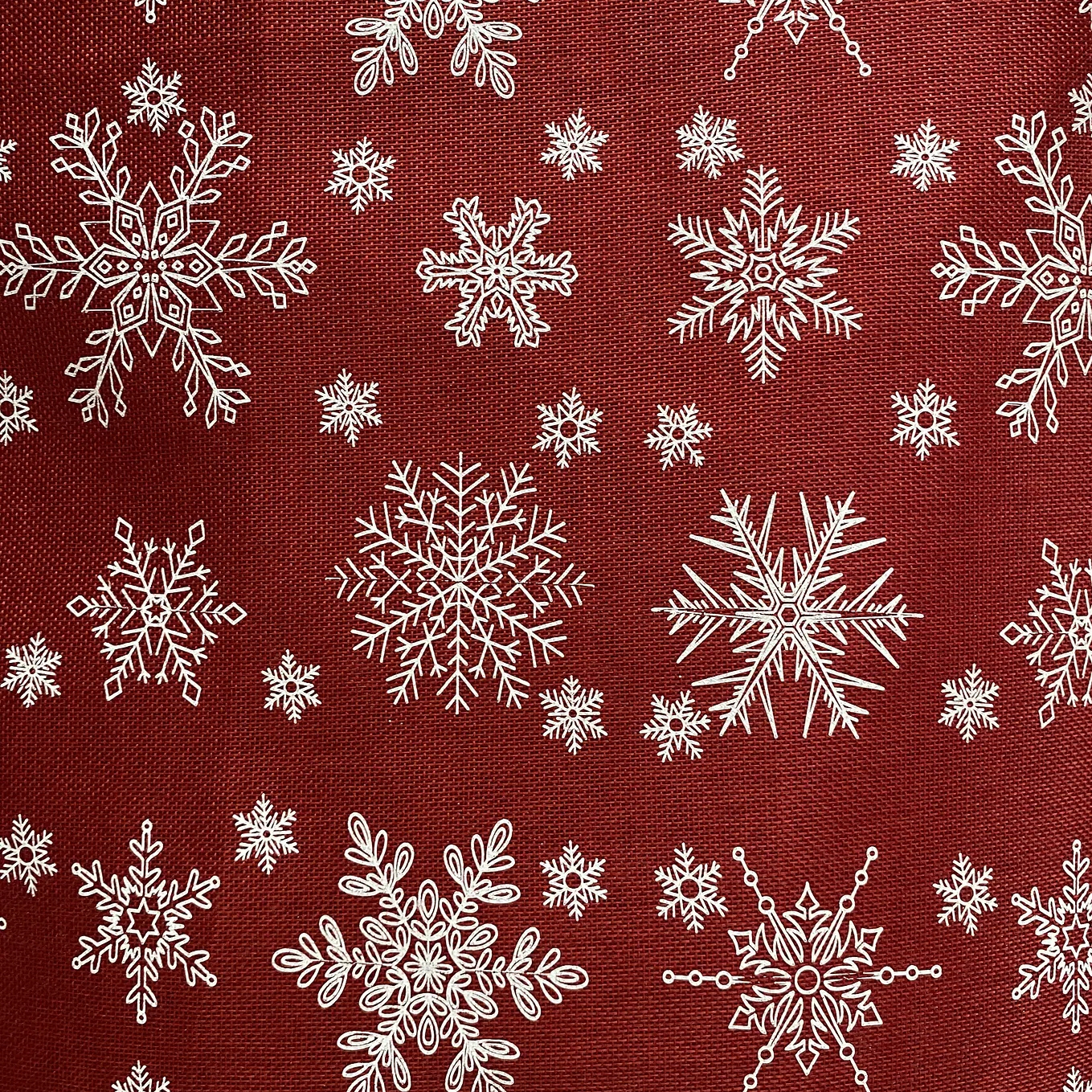 Linette  Navidad  15