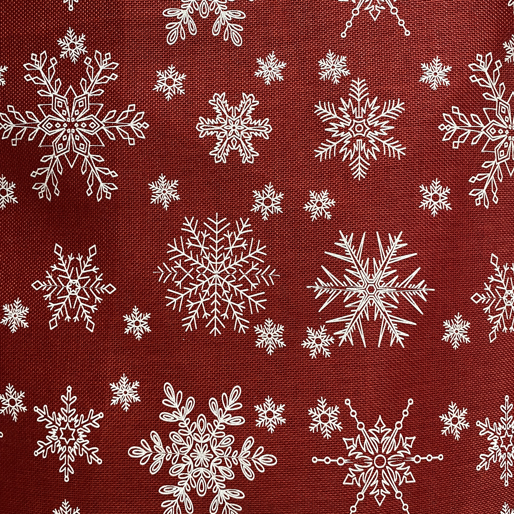 Linette  Navidad  15