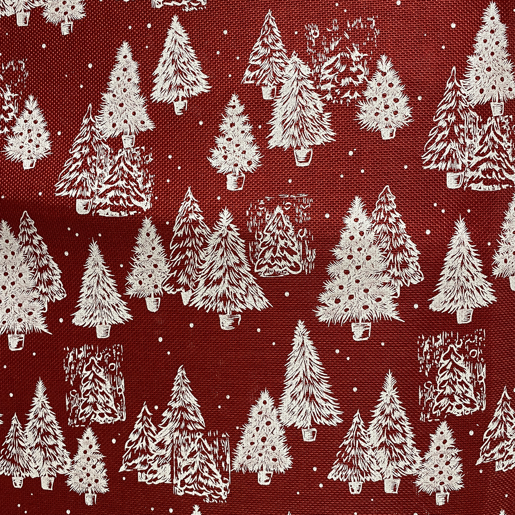 Linette  Navidad  16