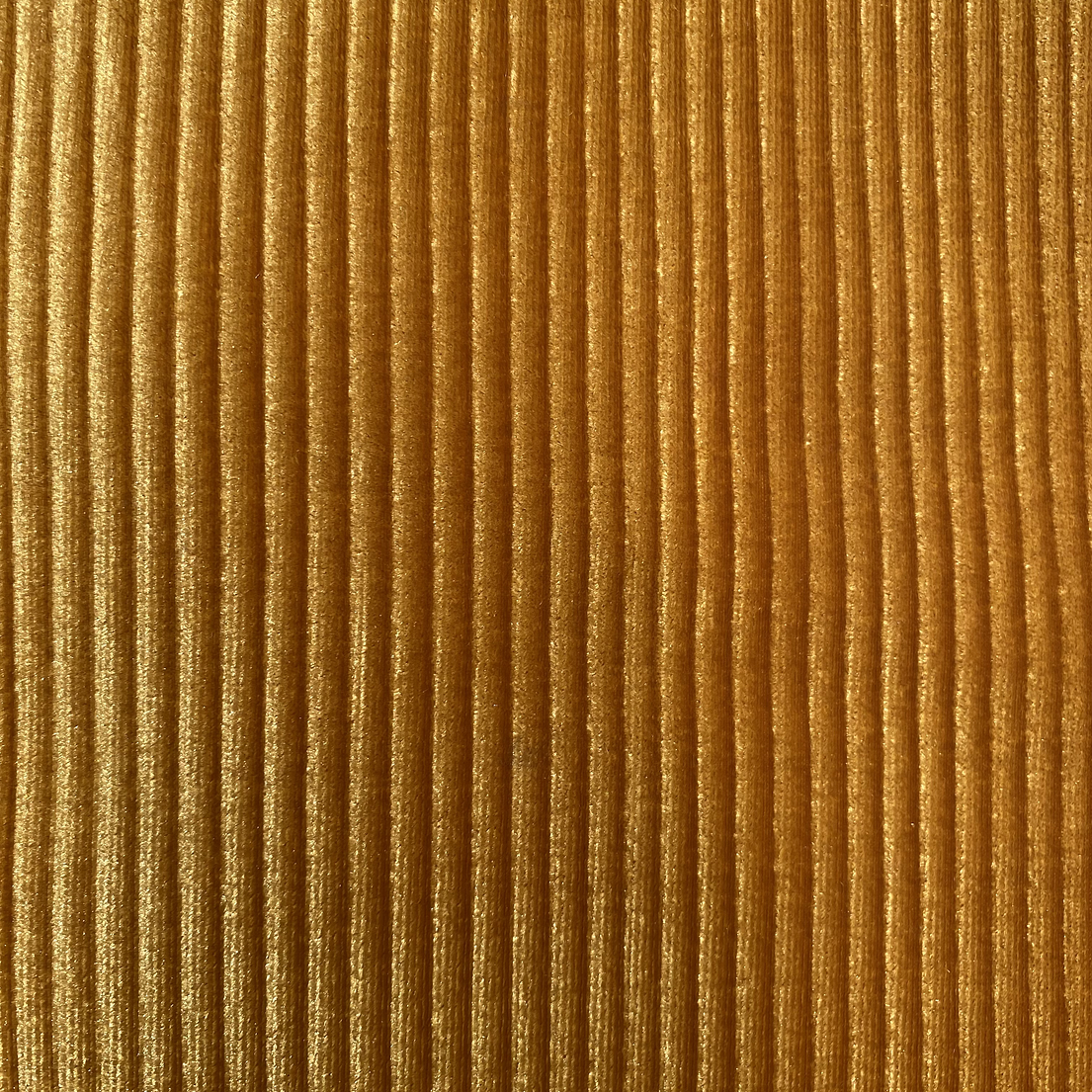 Terciopelo plisado  4