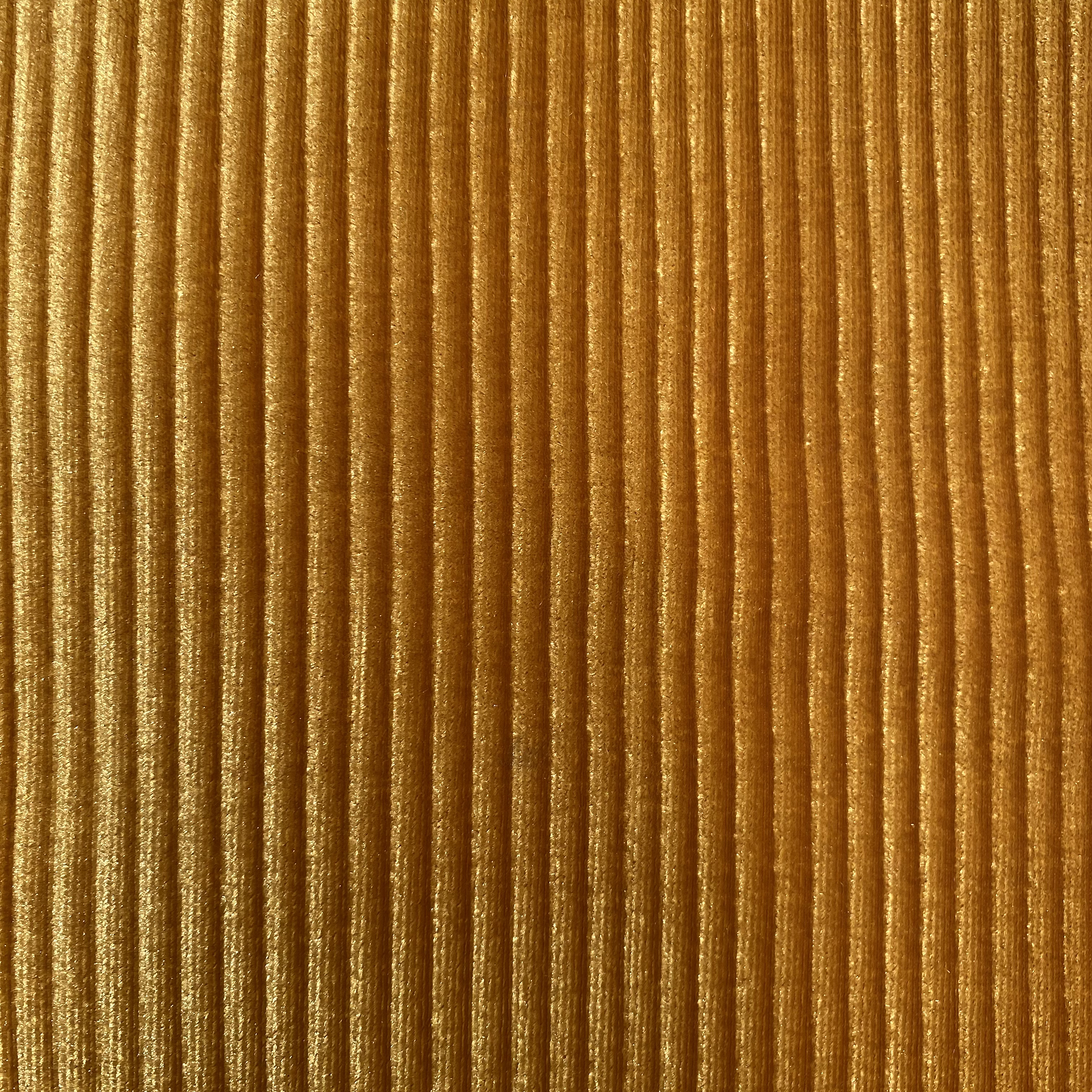 Terciopelo plisado  4