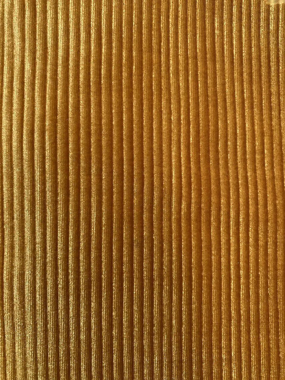 Terciopelo plisado  4