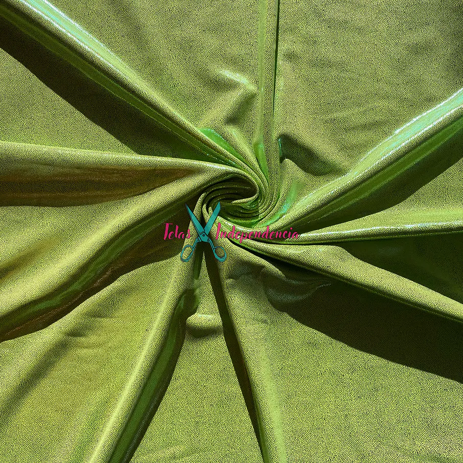 Lycra Dupont Brillo 23