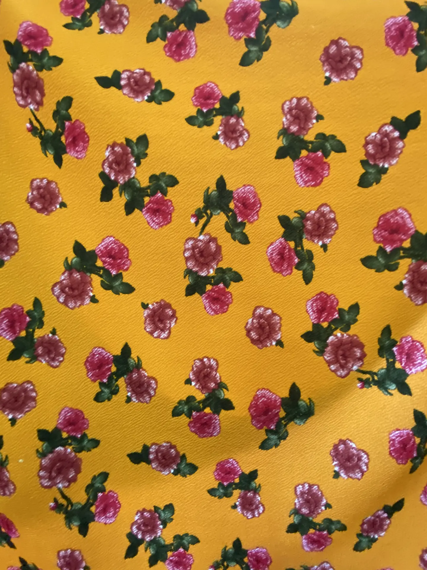 Sofía Flores  4