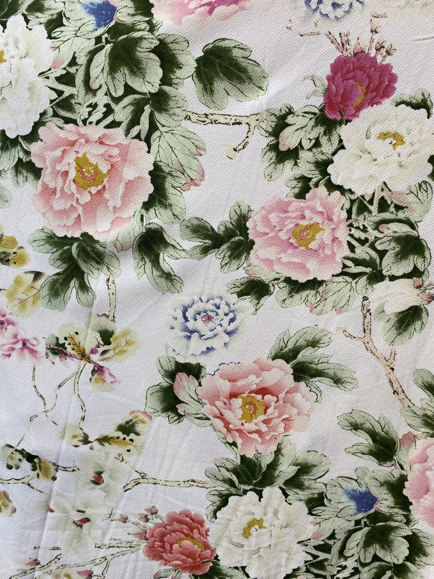 Sofía Rosas  3