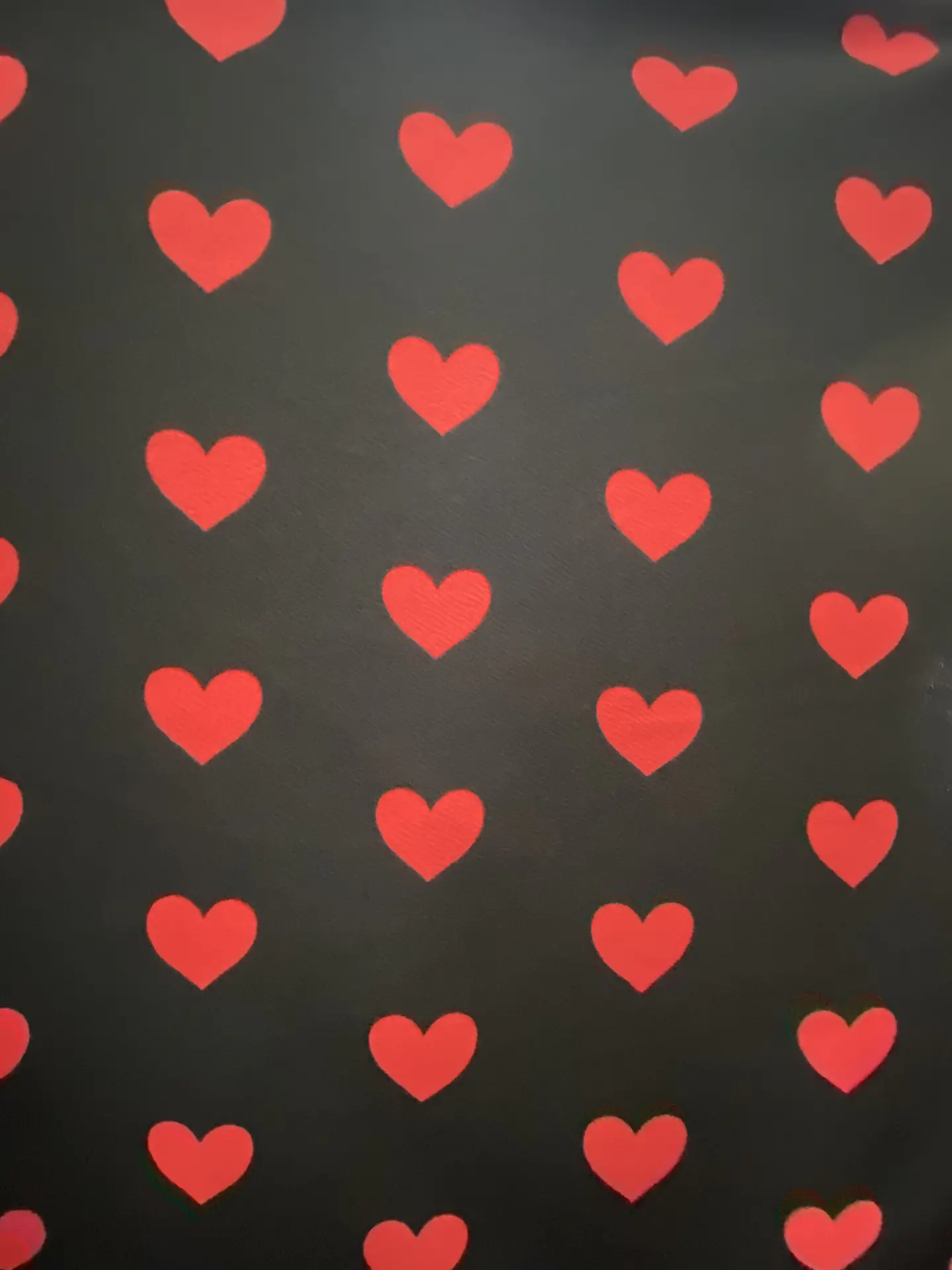 Sofía Corazon  3