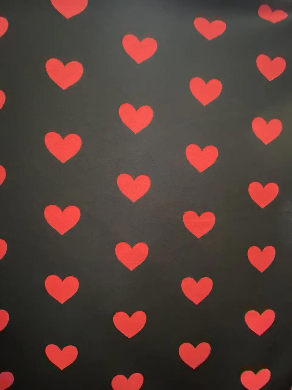 Sofía Corazon  3