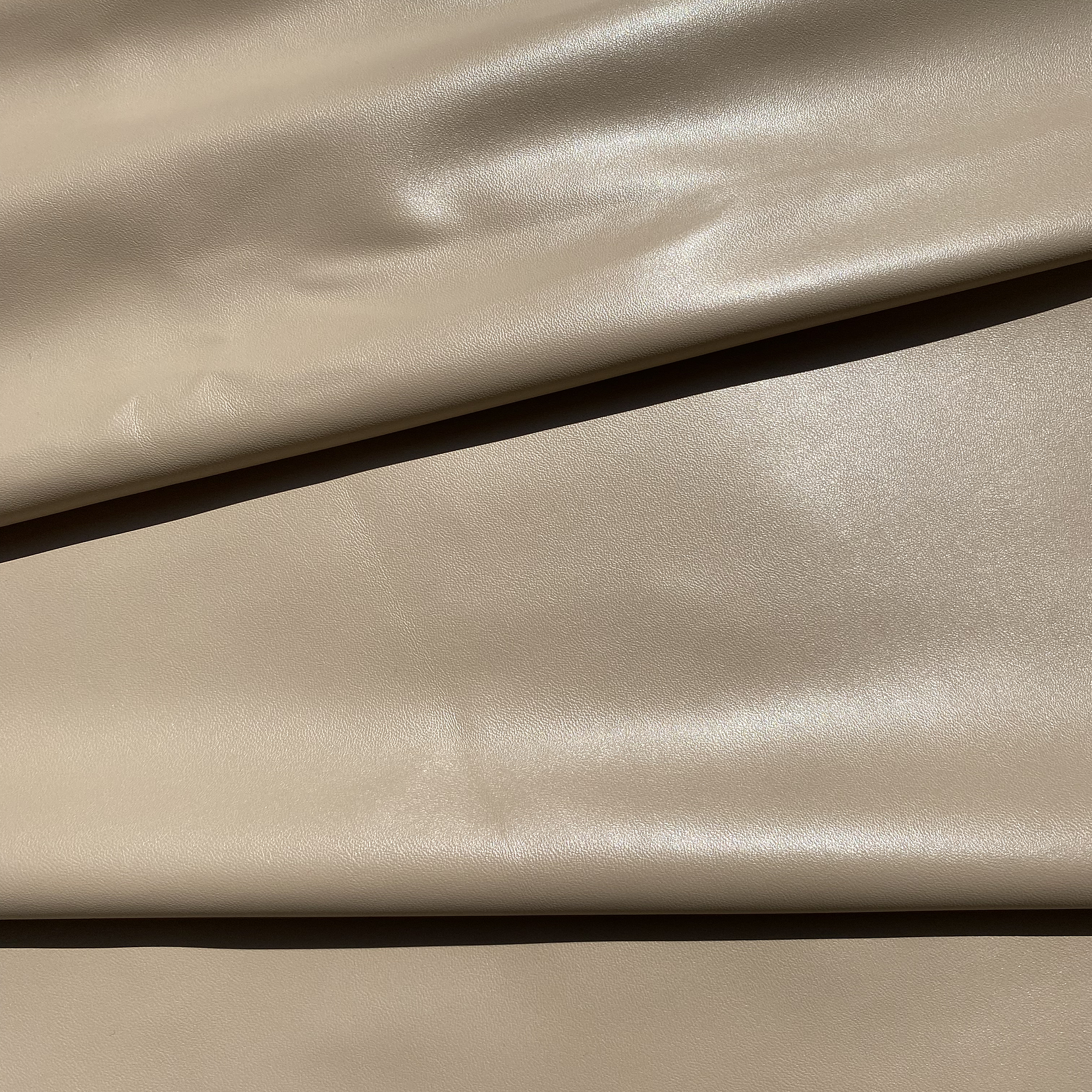 Cuerina Elasticada 7