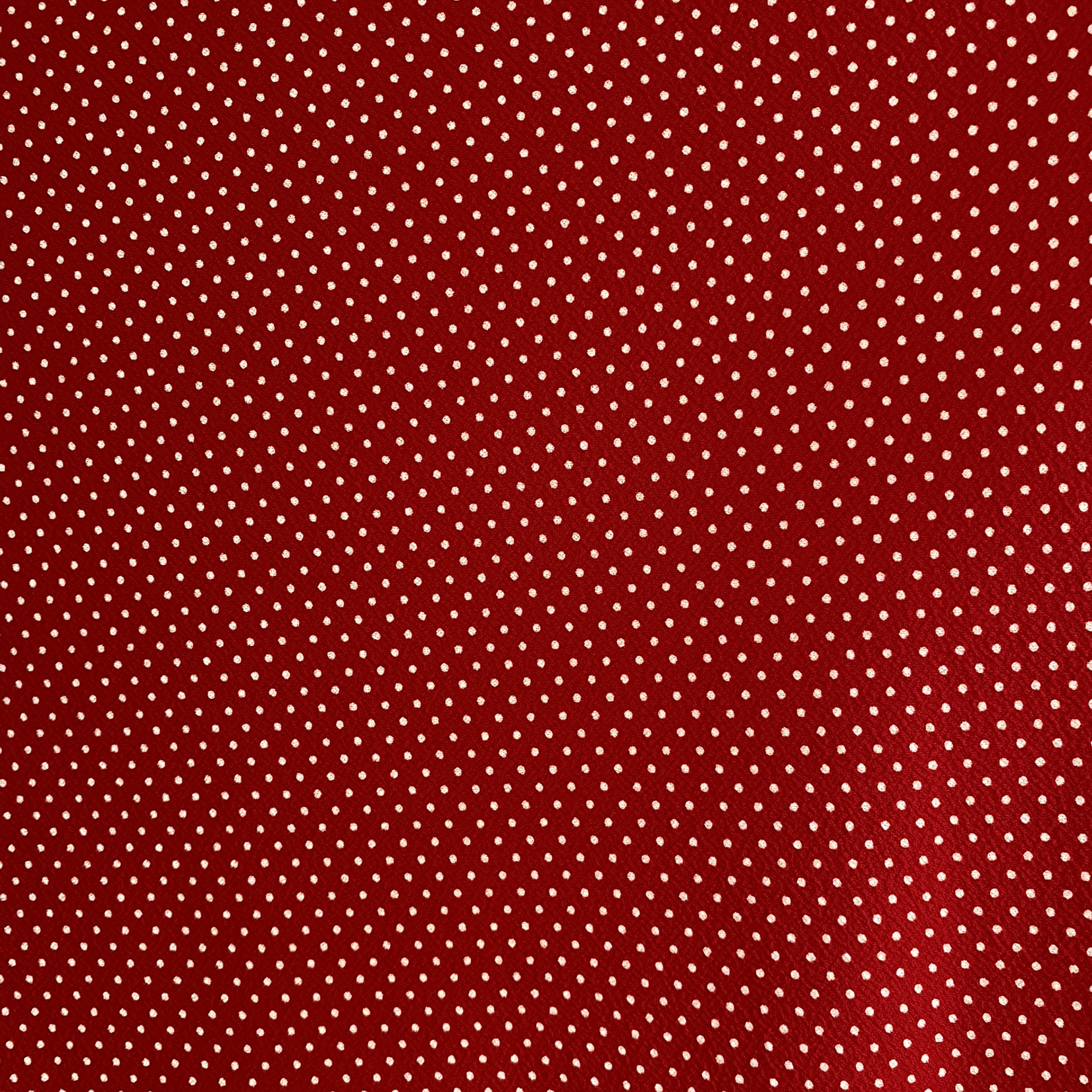 Sofía Mini Lunares  4