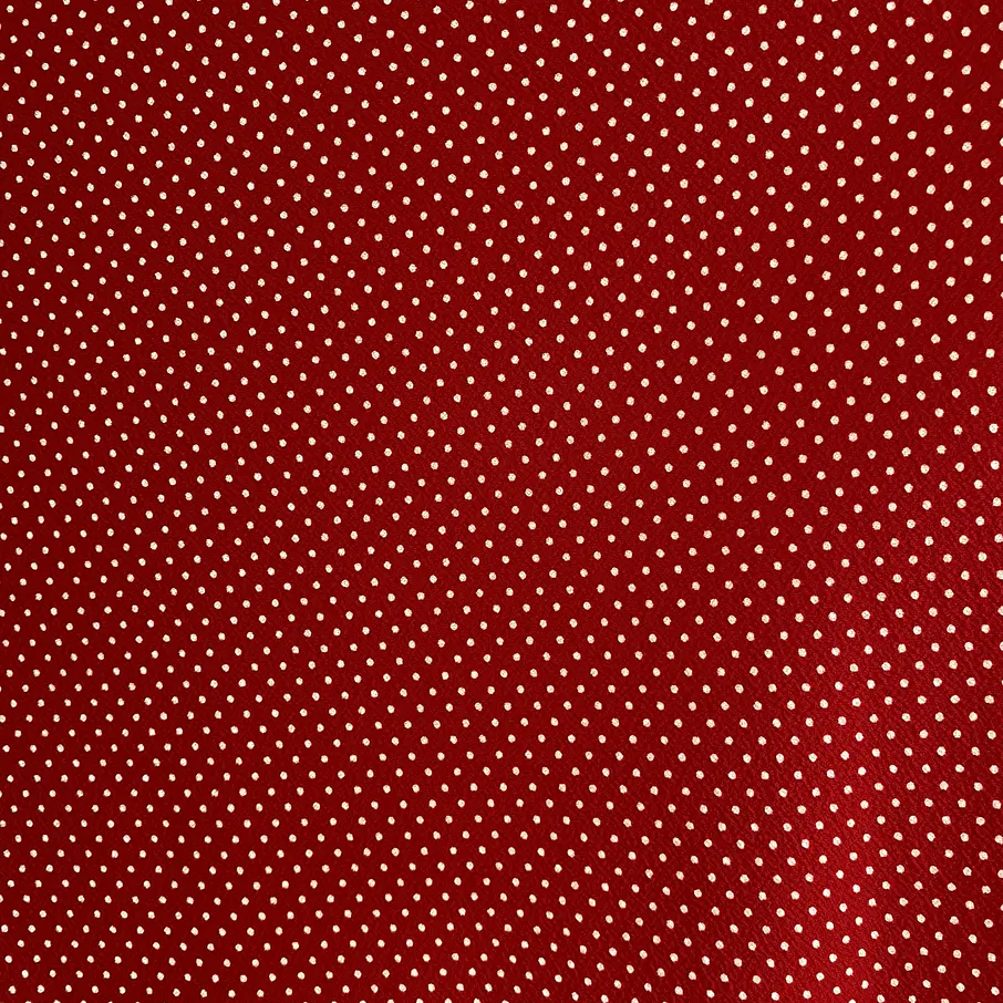 Sofía Mini Lunares  4