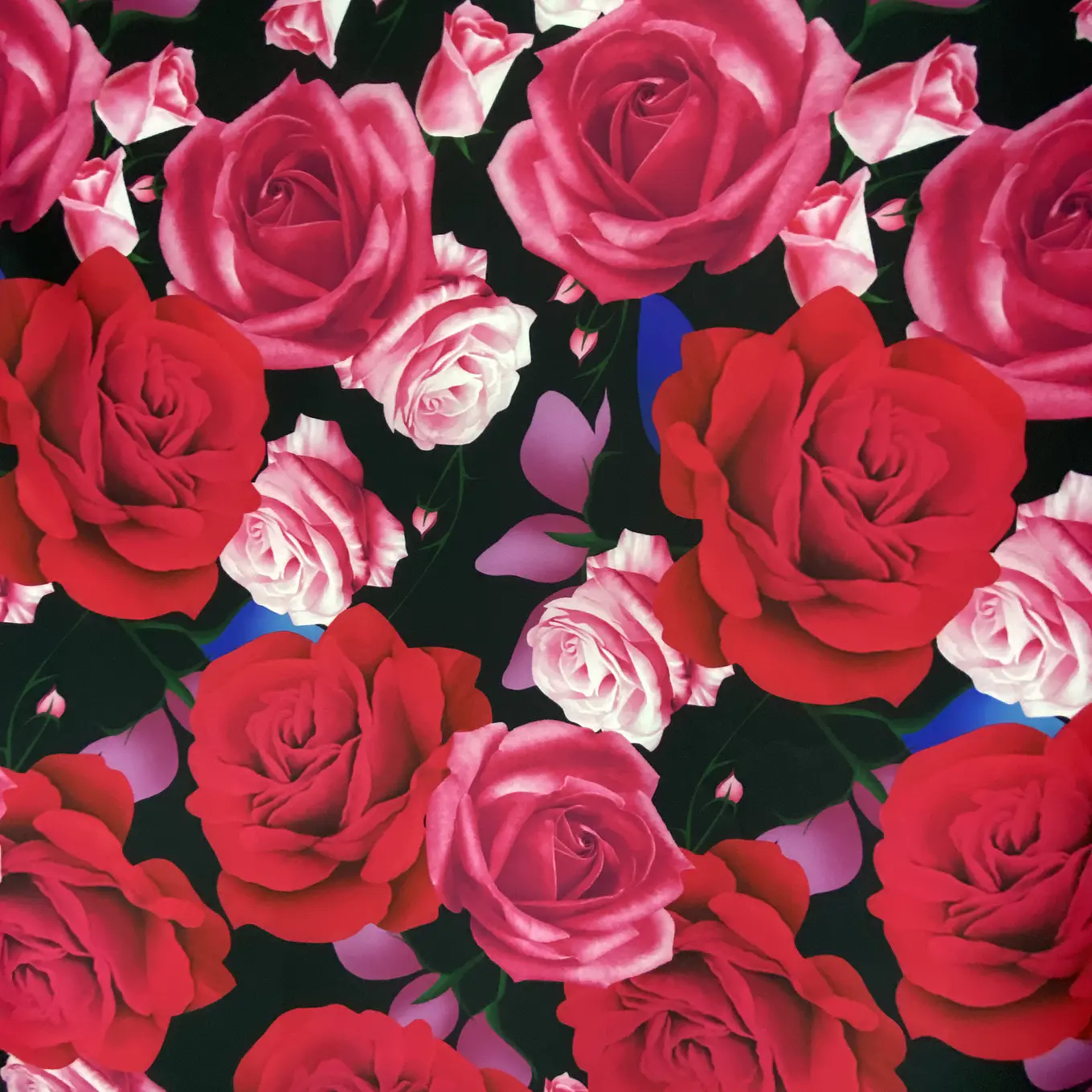 Pandora Estampada  26