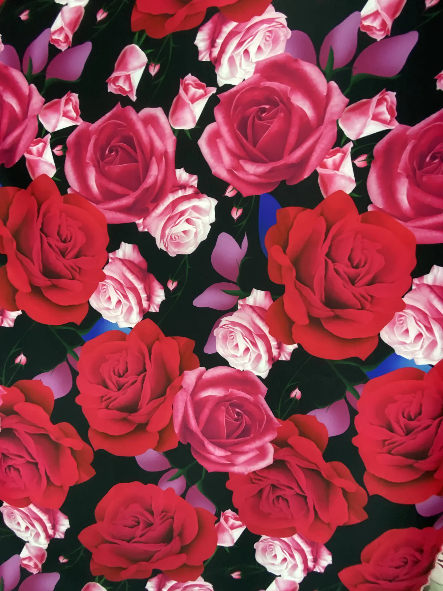 Pandora Estampada  26