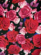 Pandora Estampada  - Miniatura 26