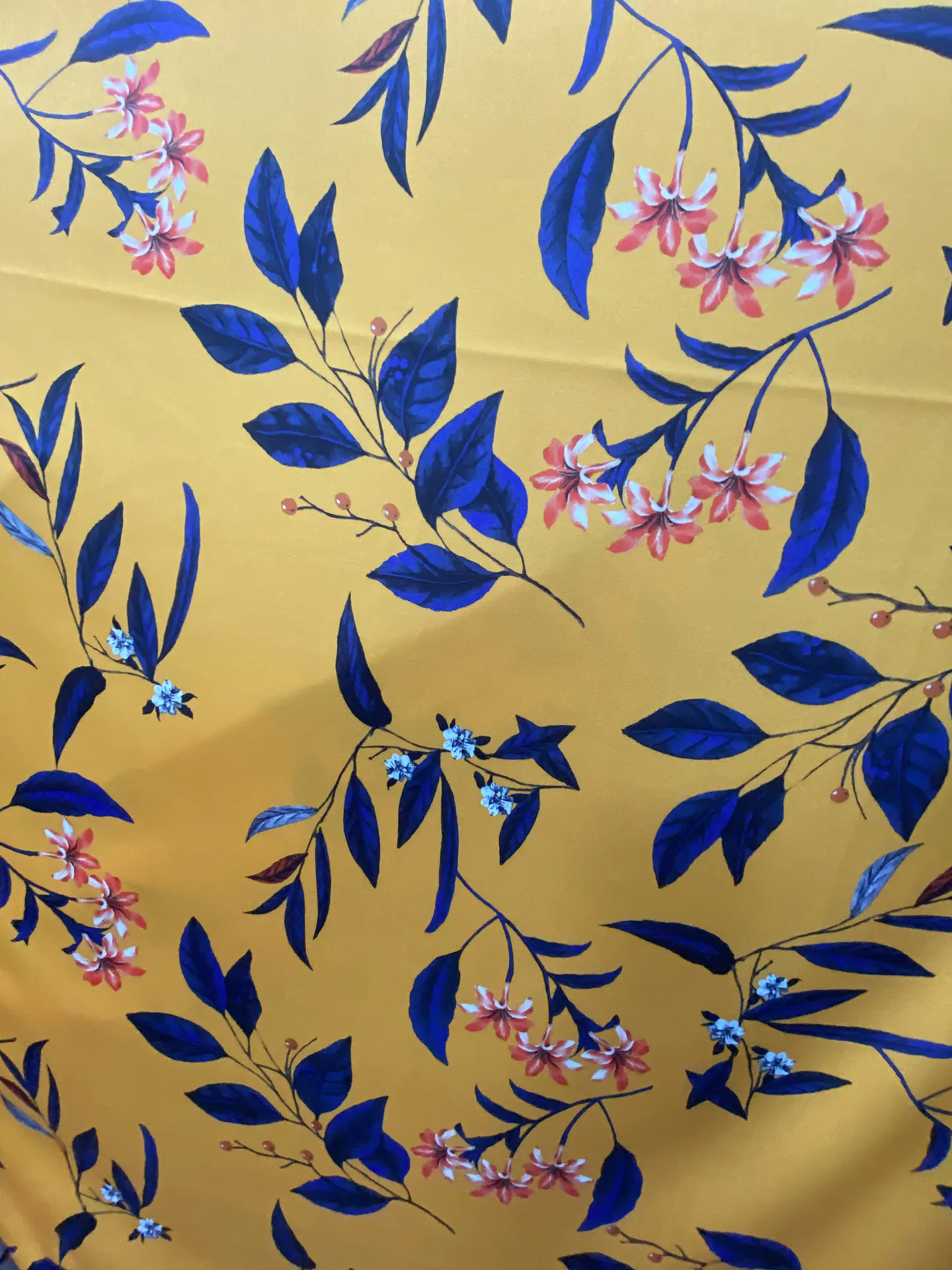 Pandora Estampada  18