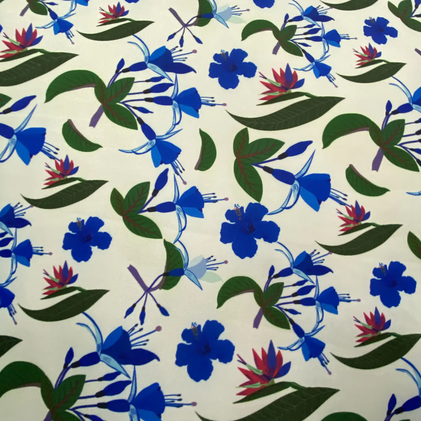 Pandora Estampada  41