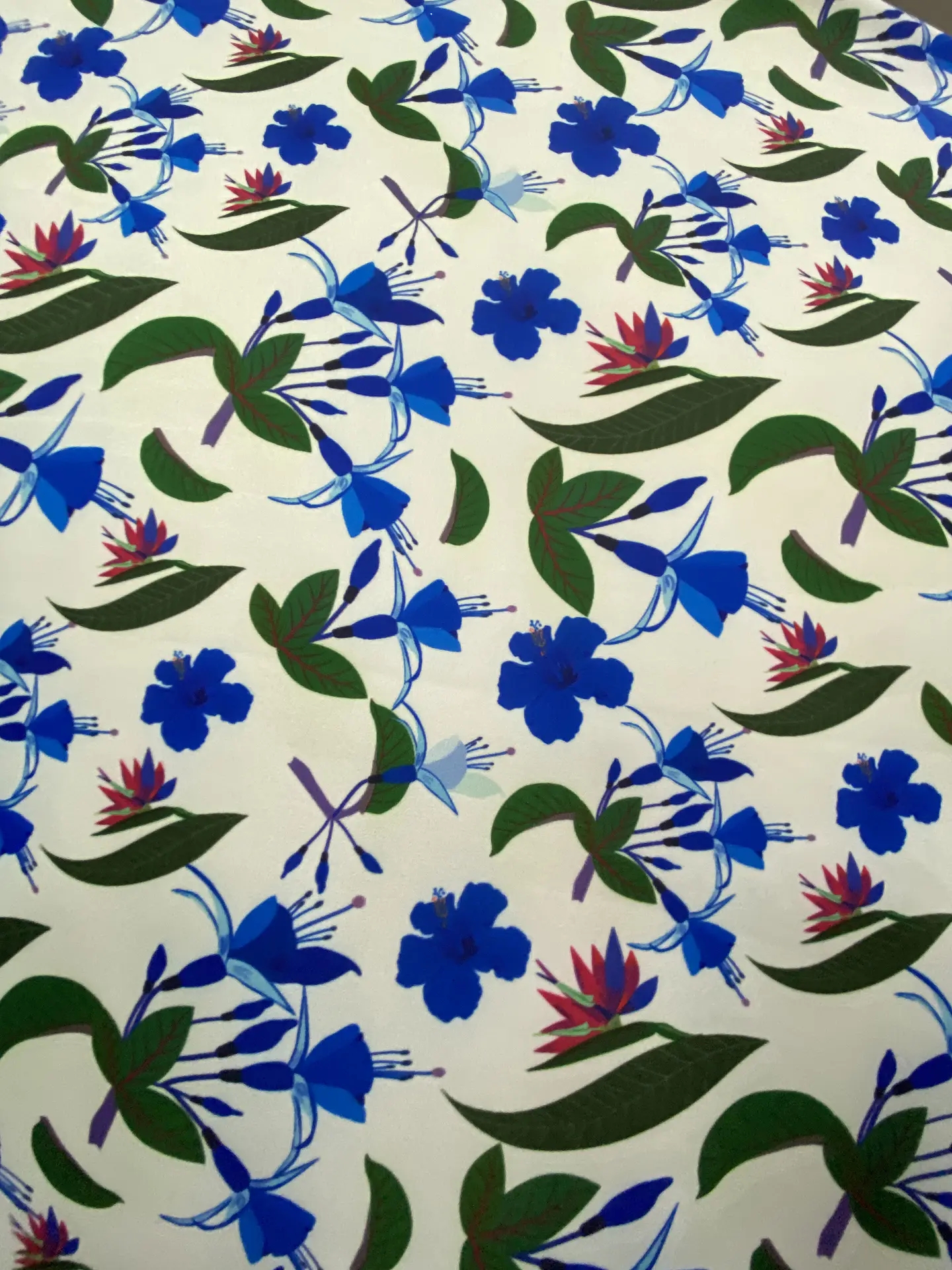 Pandora Estampada  41