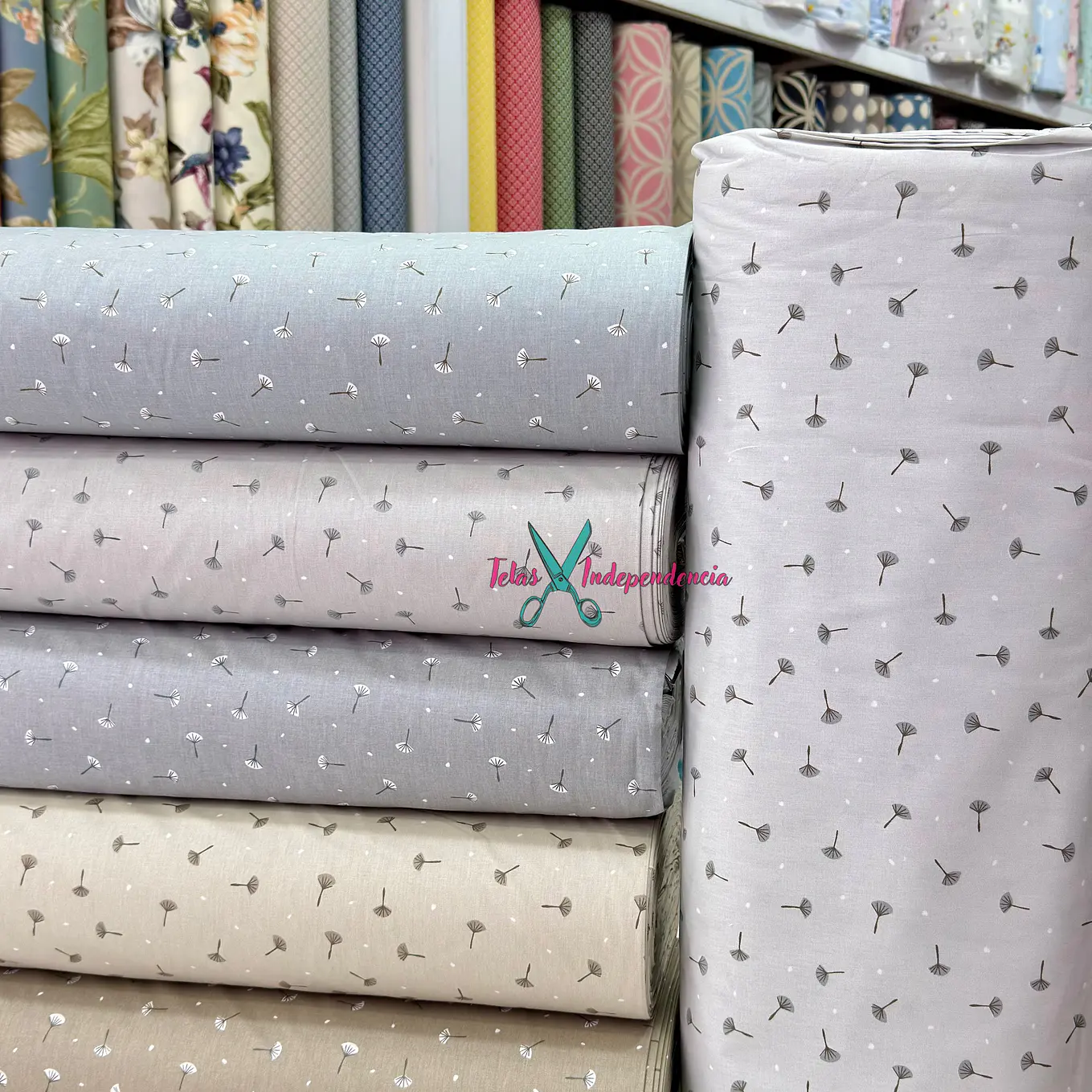 Crea Turca Diente de León 2