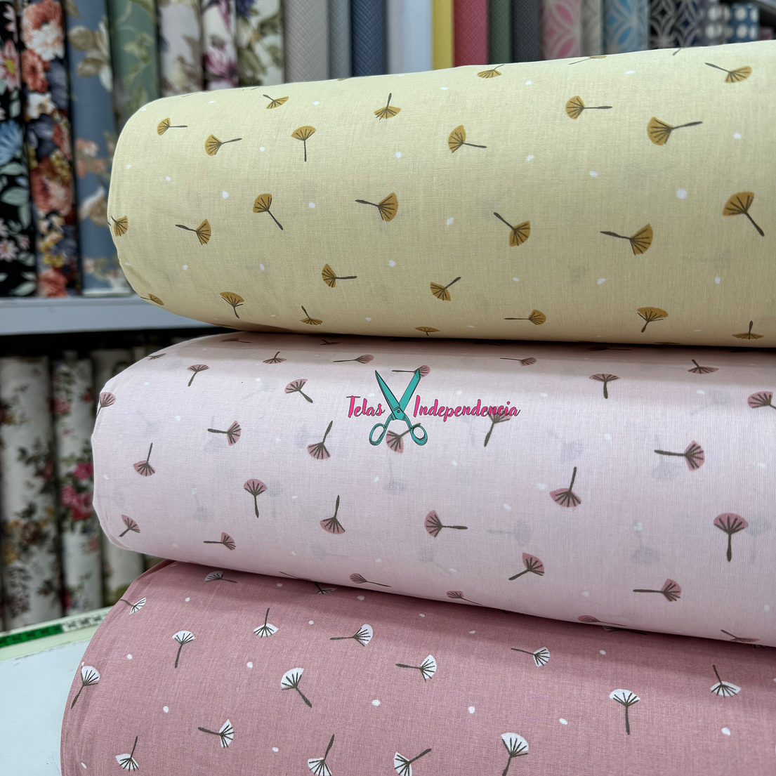 Crea Turca Diente de León 3