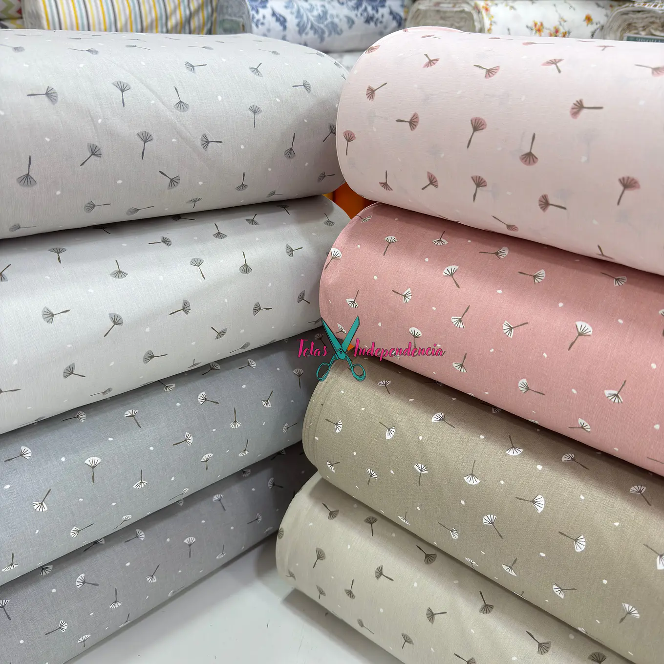 Crea Turca Diente de León 4