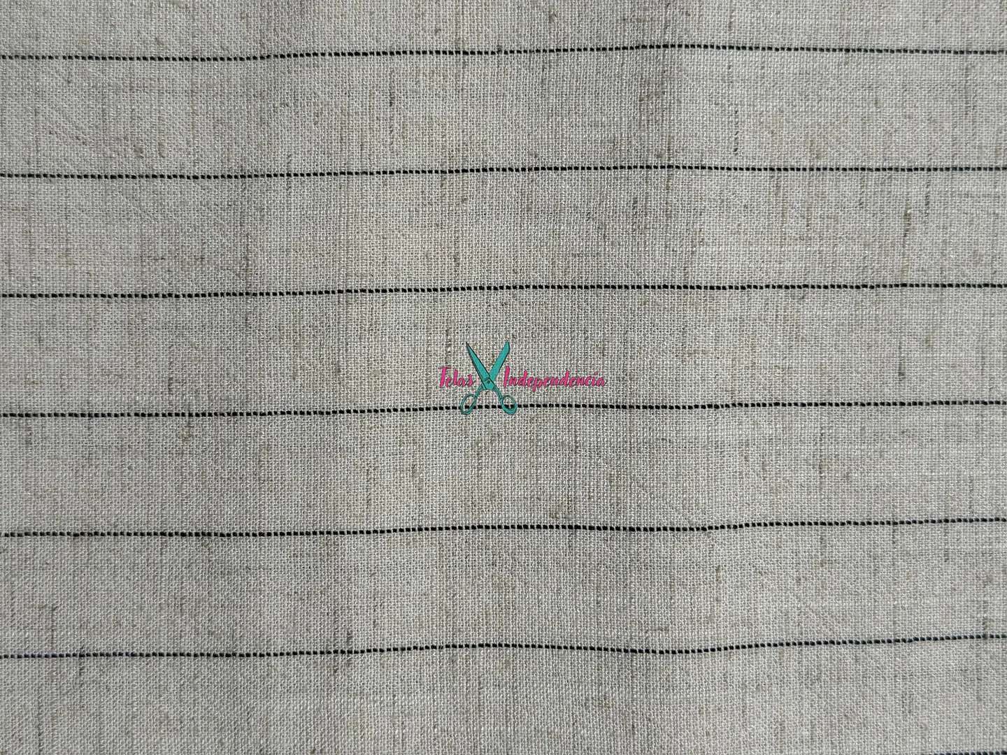 Lino Lineas  4