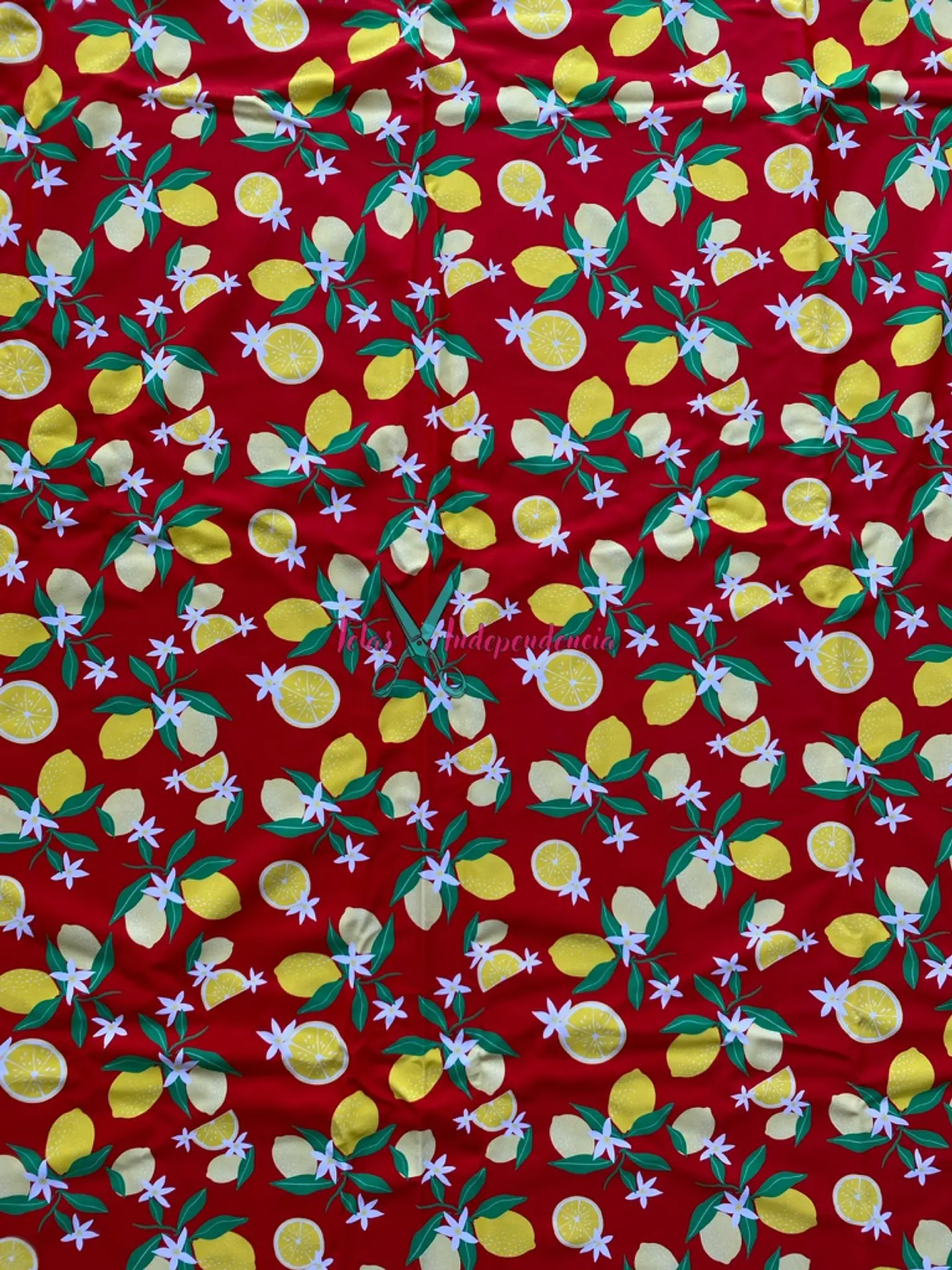 Lycra Dupont Frutas 4