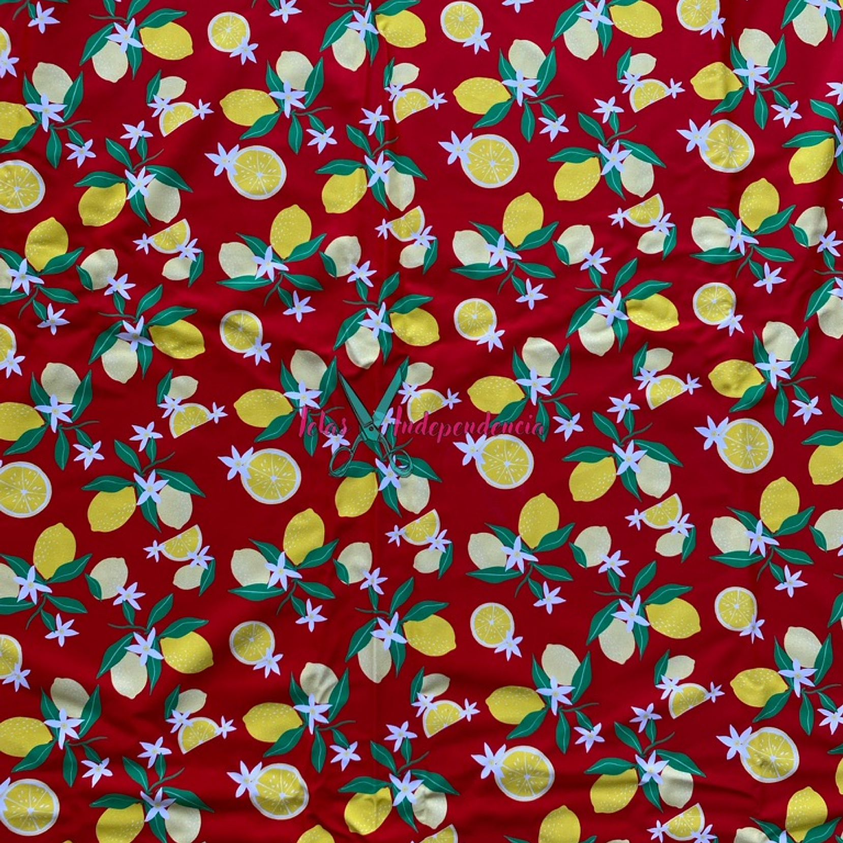 Lycra Dupont Frutas 4