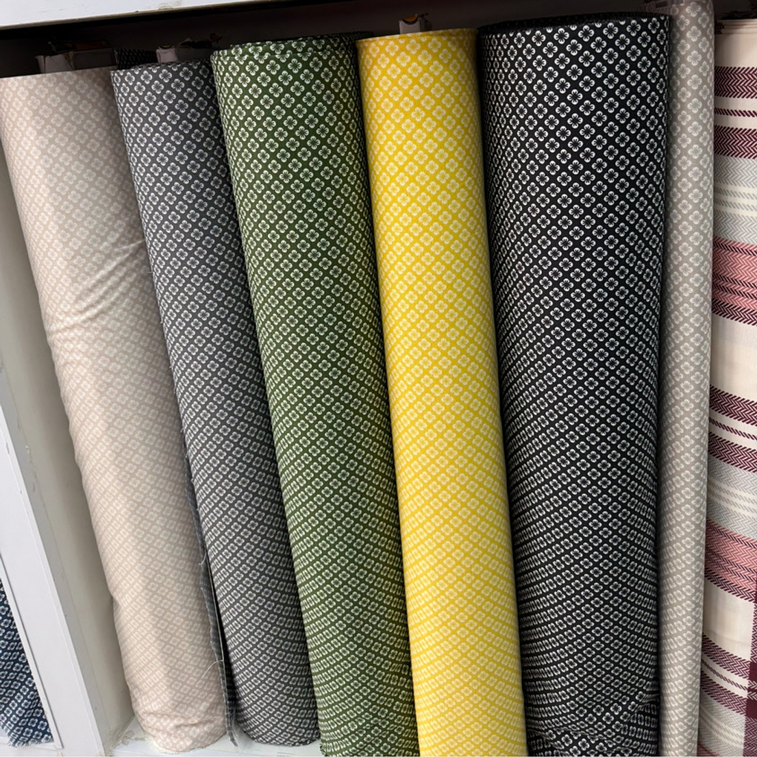 Lona Turca trébol  1