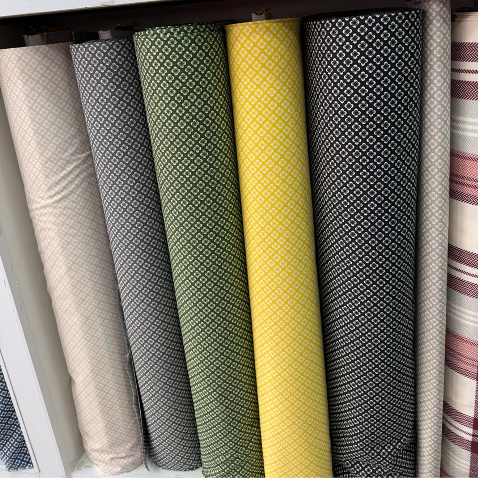 Lona Turca trébol  1