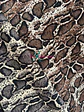 Sofía Animal Print - Miniatura 5