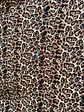 Sofía Animal Print - Miniatura 3