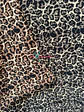Sofía Animal Print - Miniatura 2