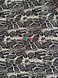 Sofía Animal Print - Miniatura 6