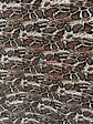 Sofía Animal Print - Miniatura 7