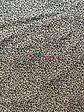 Viscosa Animal Print - Miniatura 3