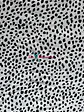 Viscosa Animal Print - Miniatura 3