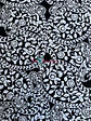 Lycra Fria Flores Blanco y Negro - Miniatura 4