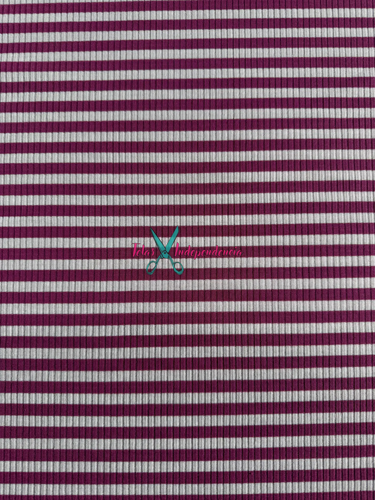Canuton Mini Lineas 2
