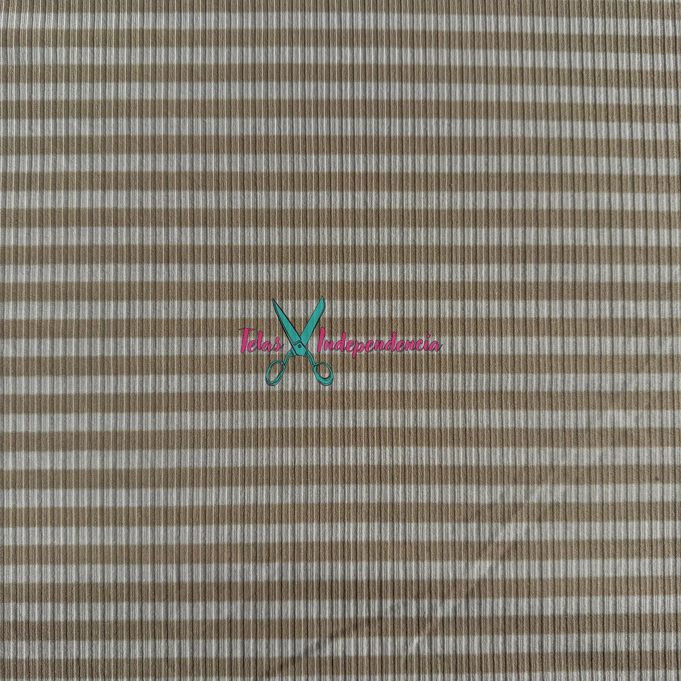 Canuton Mini Lineas 3