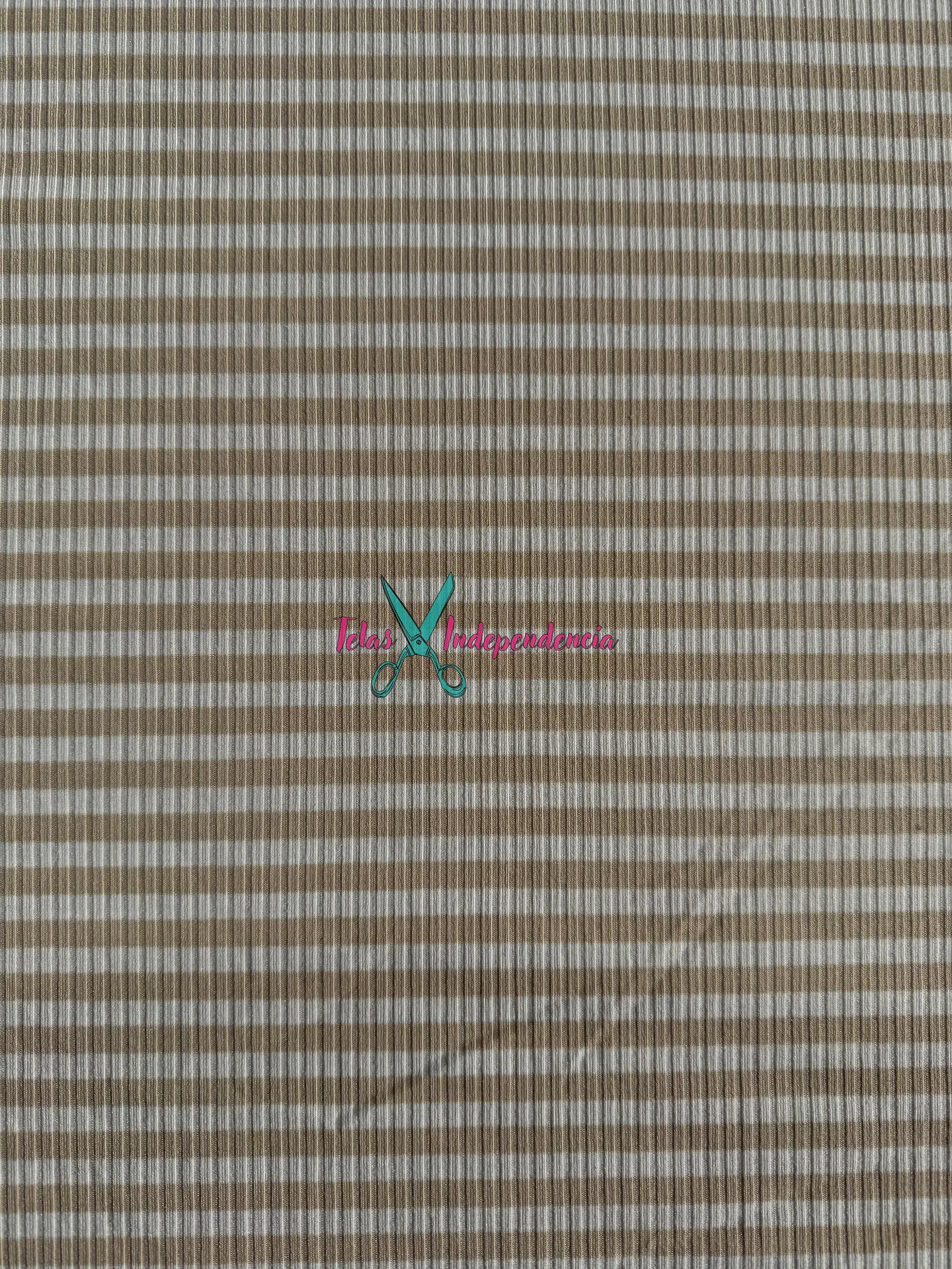 Canuton Mini Lineas 3