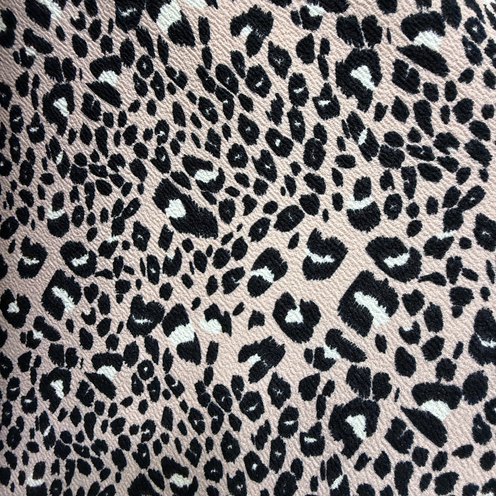 Sofía Animal Print  2