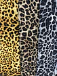 Sofía Animal Print  - Miniatura 1