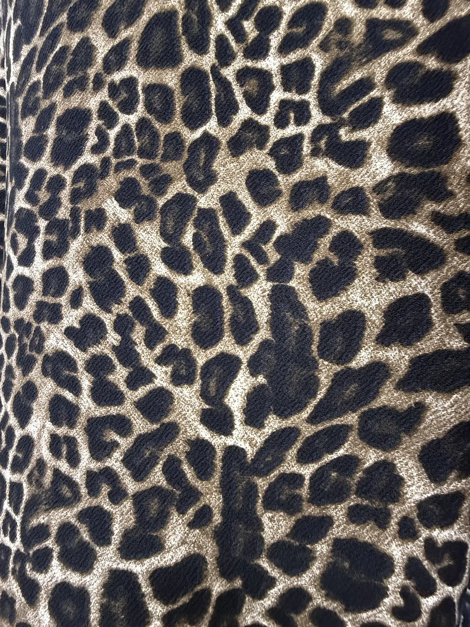 Sofía Animal Print  3